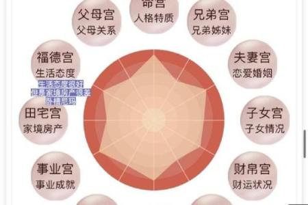 离宫属性解析：神秘的命理与人生指南