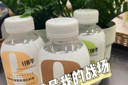 解密CEEB身形文件：让你轻松打造完美身材的秘密武器