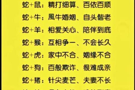 27岁猴子的命格分析：探寻生肖猴的命运奥秘与人生智慧