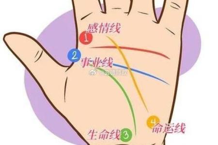 命运与选择:人生的命运线