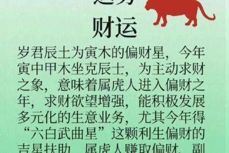 属虎1985年出生的命理与人生探究