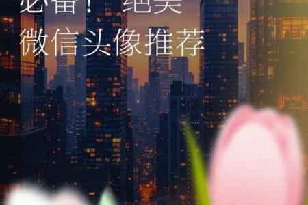 水命朋友的微信头像选择指南：如何让你的形象更具吸引力！
