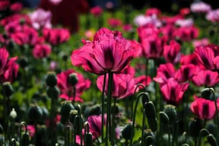 命与运:人生的交响乐,掌控在自己手中