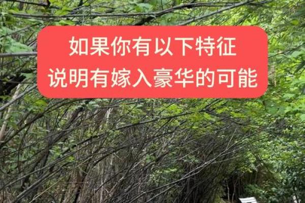 揭秘！哪些女命能嫁入豪门？掌握这些特征，实现逆袭人生！