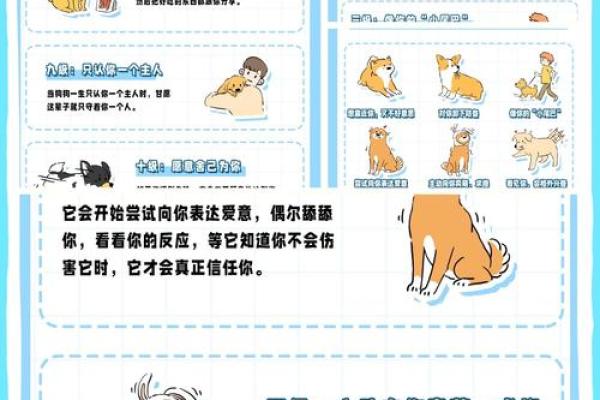 木命女性适合养什么宠物?解析最佳伴侣选择! 木命女性适合养什么宠物?解析最佳伴侣选择!