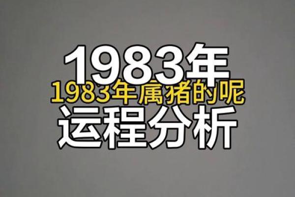 属猪山头火命：解读其独特的命理特征与运势