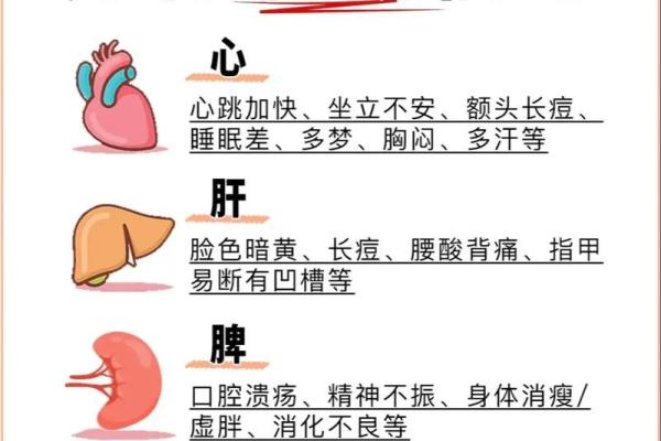 揭示金命人的健康密码：哪些器官容易出现问题？