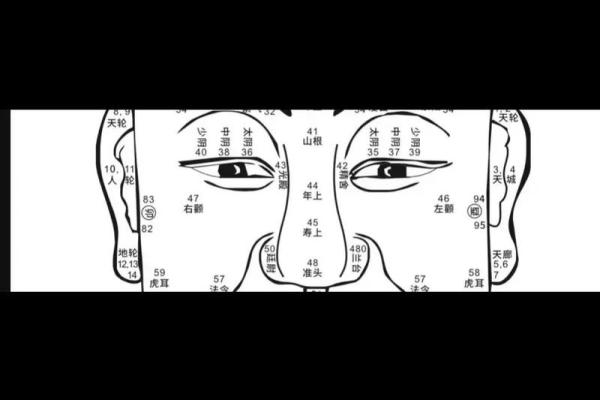 如何通过面相判断一个人的财富命运