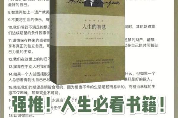 姥姥的命理之谜：探寻智慧与人生旅程的交汇点