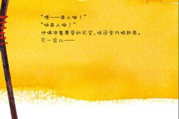 回顾1987年出生的孩子：命运与未来的交织之旅