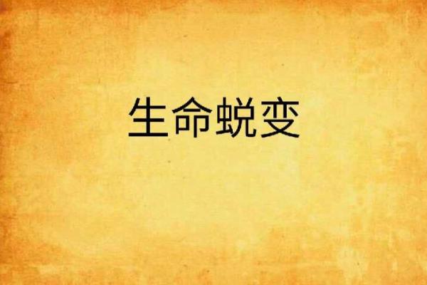 1966年：属于火的命运与生命的蜕变之旅