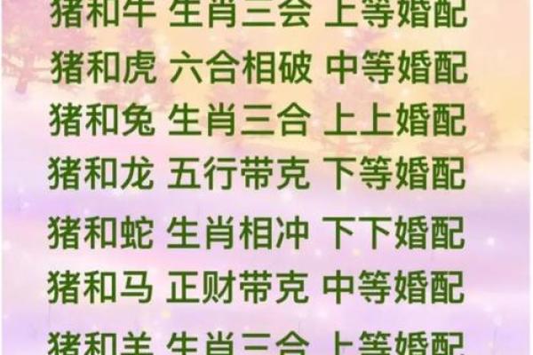 属龙女生的命格解析：揭秘她们的性格与人生轨迹