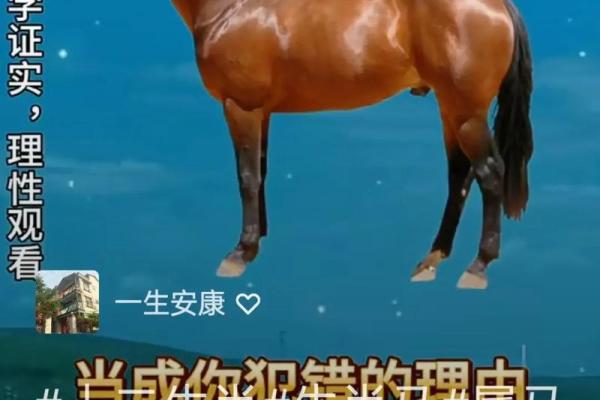 2002年属马的人命格解析与人生机遇