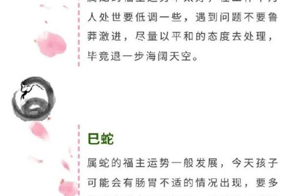2022年24岁命运解析：揭示你的运势与潜力之路