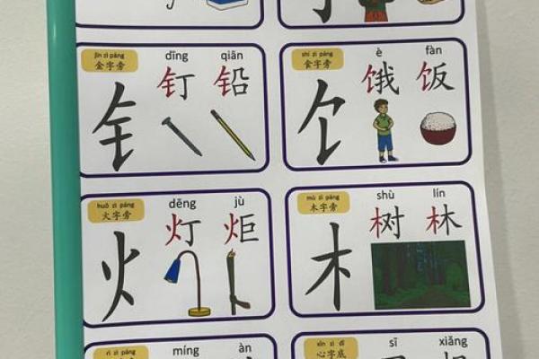 探索“命”的部首：从汉字看生命的奥秘与哲学思考