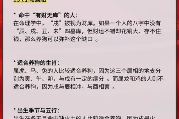 93年属狗之命：探秘命运与性格的深层联系