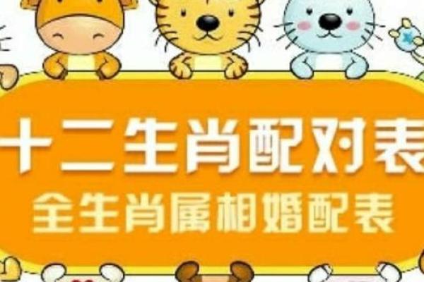 28岁属什么生肖是什么命：破解生肖与命运的奥秘