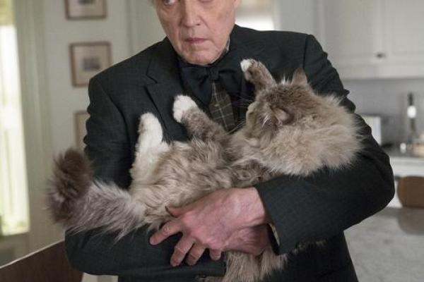 《CG九条命：探索生命的珍贵与脆弱》