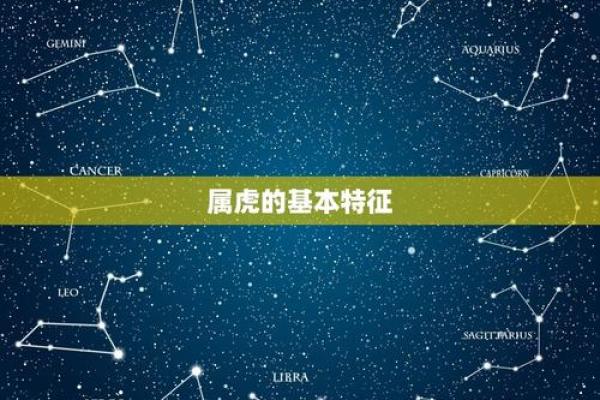 午时出生的老虎命运，运势与性格全解析！