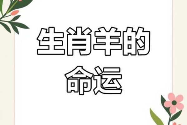 2015年羊年：探寻羊年运势与文化的魅力