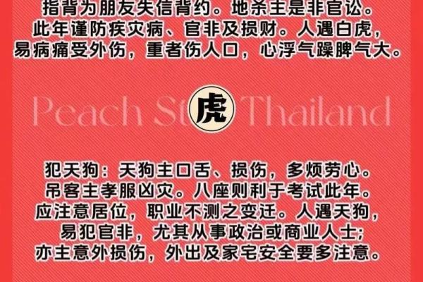 2021年宝宝命运解析：带你了解他们的未来与潜力