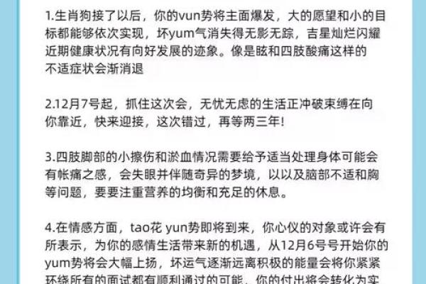 揭开82属狗女的命运之谜：性格、事业与爱情的全面解析！