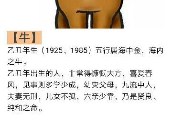 水命猪的幸运颜色与搭配技巧，助你增运添福！