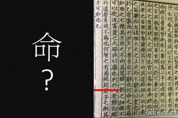 探索男生白虎命的神秘与魅力：命理背后的故事与人生启示