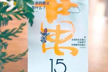 命里头太多的意义与人生价值的探索