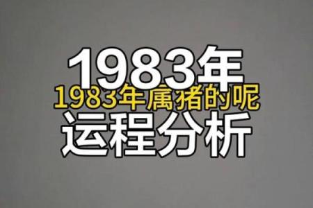 属猪山头火命：解读其独特的命理特征与运势