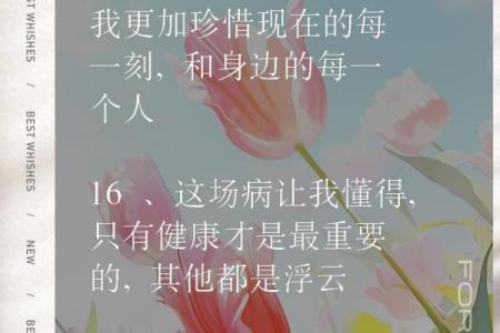 意外横死：生命的脆弱与命运的无常探究