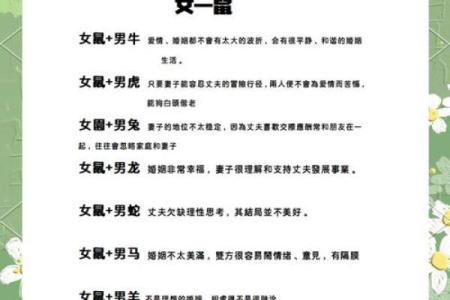 1984年属鼠的人与金命：探索命理与人生之路
