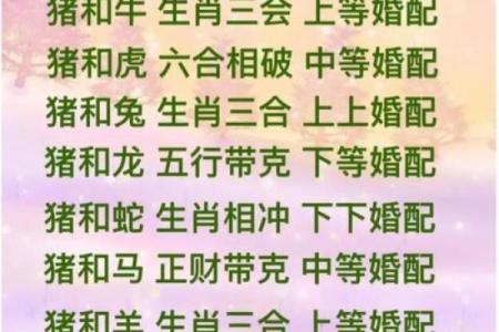 属龙女生的命格解析：揭秘她们的性格与人生轨迹