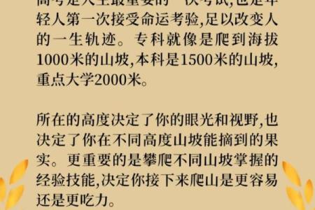 总结2011命运之年：挑战与机遇的交汇点