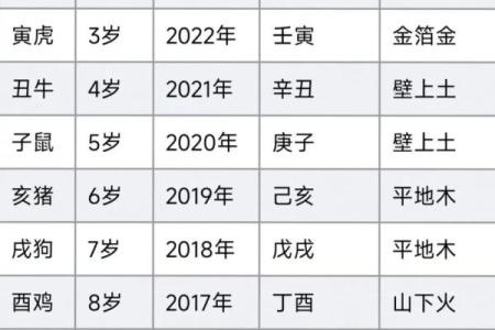 兔年命理解析：五行属相与性格特征探讨