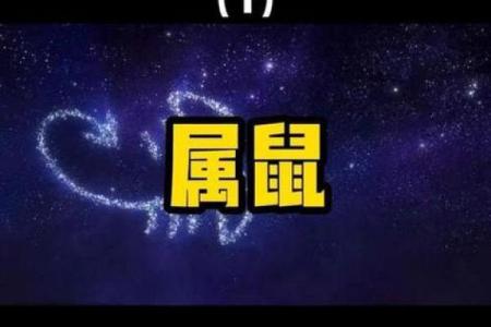 1976年出生的生肖及命理解析：探索鼠年人的命运与人生