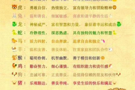 12月30号出生的人命运与性格特征解析
