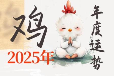 属鸡人的命运解析：26岁转折点与未来展望