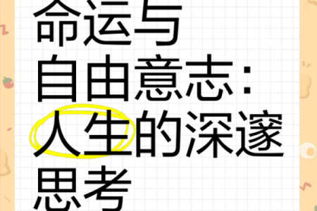 命运与自由意志:信命带来的好处与不信的代价