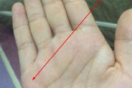 面相解析：揭示你命格的秘密，了解自我，掌控未来