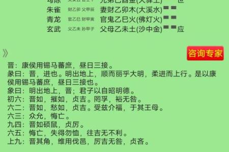 探究平地木命：什么时辰出生最为有利？