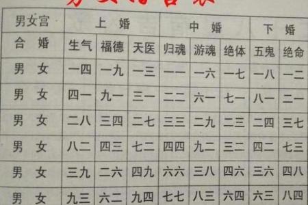狗年宝宝命里缺什么？揭示命理与性格的奥秘