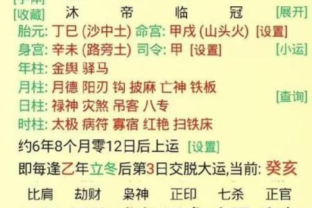 探秘命理八字：解读财星入命的深刻含义与影响