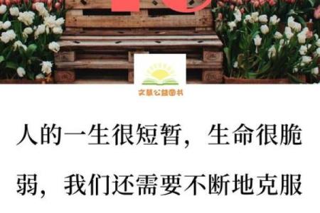 屠夫的命运：为何他们的生命如此短暂？