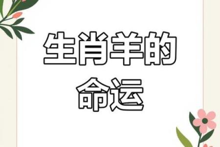 2015年羊年：探寻羊年运势与文化的魅力
