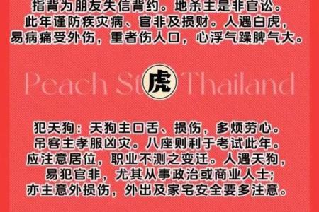 2021年宝宝命运解析：带你了解他们的未来与潜力