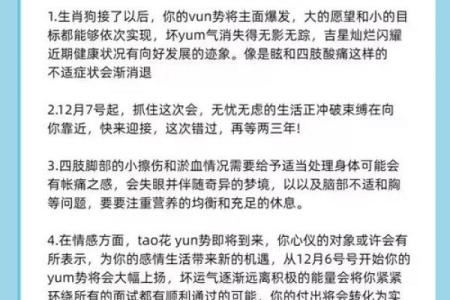 揭开82属狗女的命运之谜：性格、事业与爱情的全面解析！