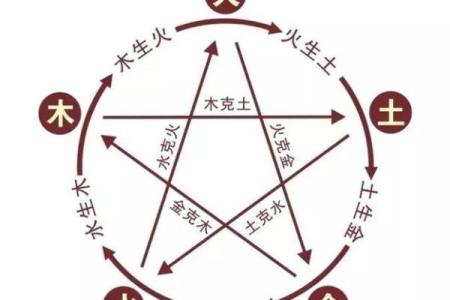 井泉水命：探寻生命之源与内心的和谐