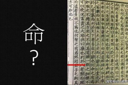 探索男生白虎命的神秘与魅力：命理背后的故事与人生启示
