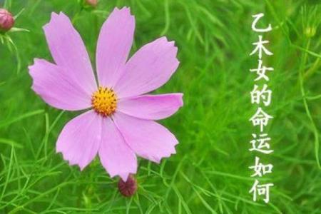 1996年出生的人命运与性格解析：揭开命运的神秘面纱